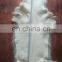 Dressed coyote skins ready for garments use
