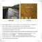 Waste Treatment and Utilization for	River Sludge Drying