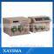 IFIS-C Intelligent flow injection sample injector