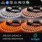 bicolour strip led cct color adjustable dual color led stripe lights