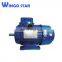 Cast Iron Frame Three Phase Electric AC Induction Motor