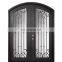 Arch top Wrought iron double storm exterior doors