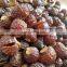 Best price organic soapberry/High quality 100% natural soapberry from Vietnam