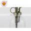 Customization Hand Pump Compression Bath 250Ml Glass Colored Garden Atomizer Pump Sprayer Bottle With Hand Pump Bottles Sprayer