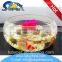 Multifunctional aquarium decoration on stock