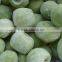 top grade IQF frozen kiwi with BRC certificate