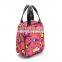 2015 picnic bag ,breast milk storage bag, lunch bag