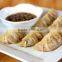 Customized Potsticker making encrusing machine with CE certificate