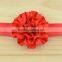 Deshine New Design Wholesale Flowers Cheap Headband H-95