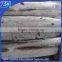 Frozen Style and IQF Freezing Process blue marlin