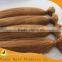 No Tangle No Shed 100% Virgin Brazilian Hair Bulk for New Style