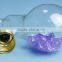 Plastic Bulb Jars