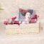maize storage basket/seagrass storage baskets/nursery storage baskets