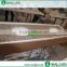 Superior quality Brazil Giallo Veneziano Granite Countertop For sale