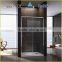 Straight shape new design pivot shower door EX-218A