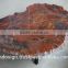 Arizona Petrified wood for decoration from Indosign BV, specialist in products of petrified/fossil/natural wood