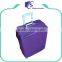 Protective Polyester Suitcase Cover For Travelling