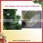 PVC Pine Needles (Normal end and Fork end)