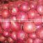 fresh red onion 10kg mesh bag for sales