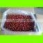 High quality Chinese Jujube fruit shanxi Special grade dried red dates