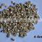 Bulk Gardening Silver Granular Expanded Vermiculite From Factory Price