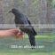 wholesale flying crow hunting decoy crow hunting black bird decoys