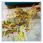 Factory Supply Chilli Picker/Chilli Picking Machine