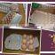 egg tray moulding machine from China