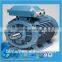 three phase AC induction motor, electic motor, flameproof motor