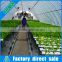 Commercial 10 Pipe vegetable low cost high output controller hydroponics greenhouse