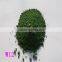 99% Chromium Oxide Green/ Cr2O3 Pigment/green Chrome Oxide