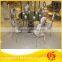 Foshan furniture European stainless steel chairs for living room