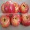 Wholesale decorative Plastic/fake/artificial fruit and vegetables for home decorations