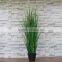 Artificial pigeongrass