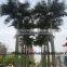 cheap palm tree fiberglass palm tree decorative indoor palm tree