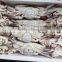 Frozen Whole Round Swimming Crab