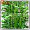 Decorative artificial lucky bamboo imitation bamboo tree