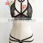 New Lace Bra Brief set transparent panty girls pics sexy fancy bra panty set Women Underwear ladies sexy panty and bra sets