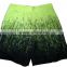 Champion Boys Shorts(Garment Stock lots / Apparel Stock / stock lots / Garment Apparel from Bangladesh)