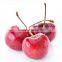 Novelty Super Cherry Pitter Nuclear Device Cherries Seed Implement Cherry Corer Fruit Vegetable Kitchen Tools KC1377