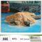 calcium lignosulfonate powder concrete additives