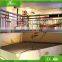 Amusement play dinosaur skeleton statue for hot selling