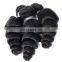 Raw human hair loose wave hair bundles with closure