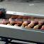 Efficient vegetable and fruit sorting machine/tomato grader /orange sorting machine
