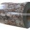 Prepainted PPGI  Color Coated Galvanized Steel Sheet In Coil for factory from shandong