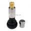 Aluminum Natural Rubber Tr414C Tubeless Tire Valve