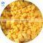 New Crop IQF Frozen Peeled Mandarin Orange Broken
