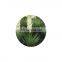 American Yucca Extract powder Sarsaponin 30%-80%
