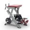 ASJ-M622 Hot Sale Commercial Fitness Equipment Plate Load Back Extension Machine