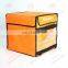 Custom Large Thermal Food Pizza Carrier Bike Cooler Bag Delivery
